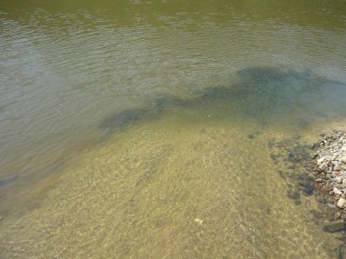 Su kirli su Labe nehir, kirliliği, ekoloji karşılayan bahar temiz