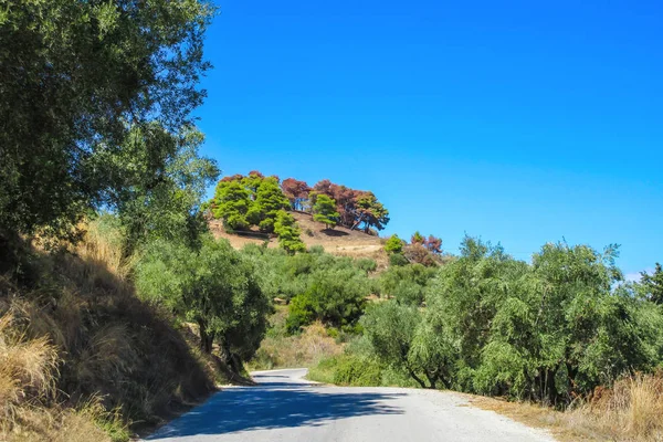 Zakynthos Adası, Yunanistan, güneşli yaz günü tepeler yerel yol yalak