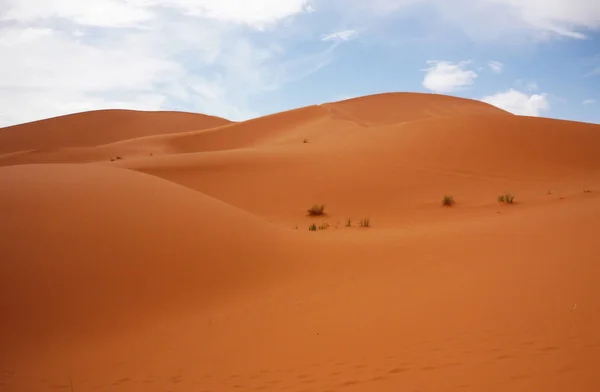 Merzouga, Doğu Fas çöl