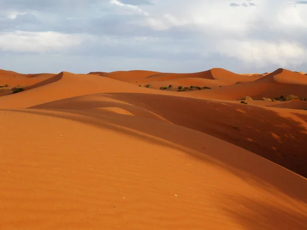 Desert Merzouga Eastern Morocco — Stock Photo, Image