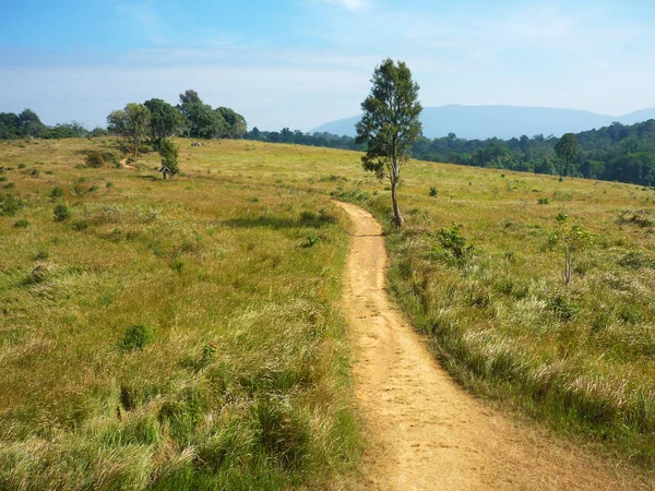 Paesaggio Del Parco Nazionale Khao Yai Thailandia — Foto Stock