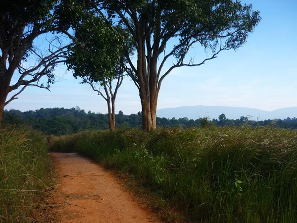 Manzara Khao Yai Milli Parkı, Tayland