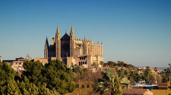 Palma Mallorca Mallorca Catedral Gótica Principal Atracción Turística —  Fotos de Stock