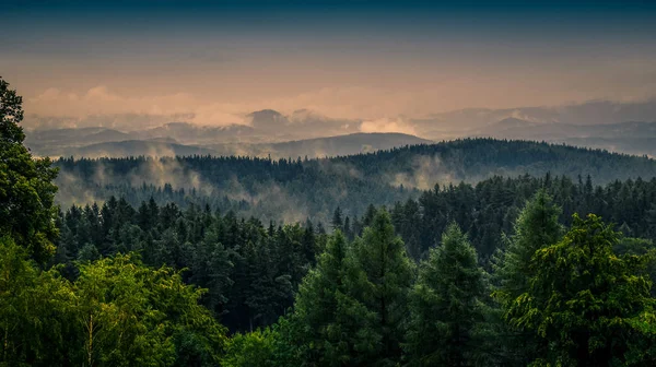 Вид Горный Лес Рано Утром Туманом Вершине Деревьев Польши — стоковое фото
