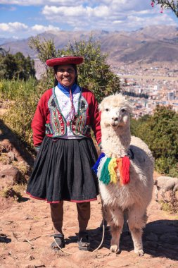 Cuzco/Peru-07.11.2017: Geleneksel kıyafetlerle Lama Cuzco, Peru yerel kadınla.