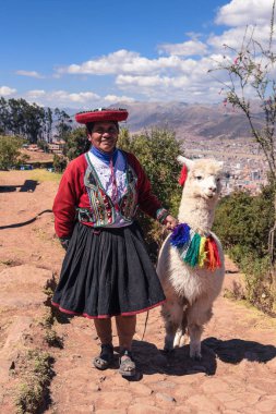 Cuzco/Peru-07.11.2017: Geleneksel kıyafetlerle Lama Cuzco, Peru yerel kadınla.