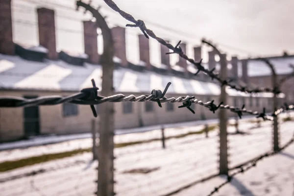 Auschwitz Oswiecim Polonya 2018 Bir Toplama Kampı Etrafında Dikenli Tel — Stok fotoğraf