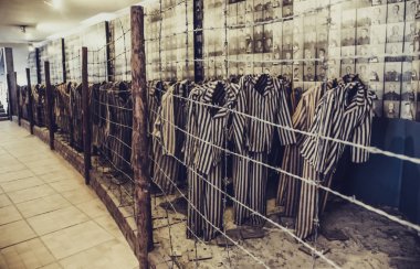 Oswiecim / Polonya - 02.15.2018: Auschwitz Müzesi sergi arkasında dikenli tel çit çizgili mahkûm giysileri ile.