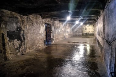 Oswiecim / Polonya - 02.15.2018: karanlık, korkunç gaz odası bulunan Auschwitz Müzesi Bodrum.