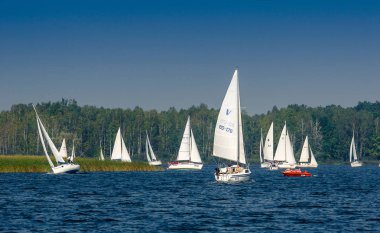 Bydgoszcz / Polonya: 13 Ağustos 2007: Regatta yarış göl kenarında. Birçok orta boy yat tekne yelken mavi göl, temiz mavi gökyüzü. Yatay.