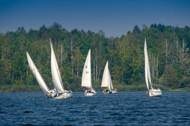 Bydgoszcz / Polonya: 13 Ağustos 2007: Regatta yarış göl kenarında. Birçok orta boy yat tekne yelken mavi göl, temiz mavi gökyüzü. Yatay.