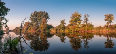 Doğal göl sahne sırasında sonbahar / renkli ağaçlar ile sonbahar sezon. 