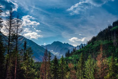 Karanlık ve dramatik görünüm Vadisi dağ tepe üzerinde.
