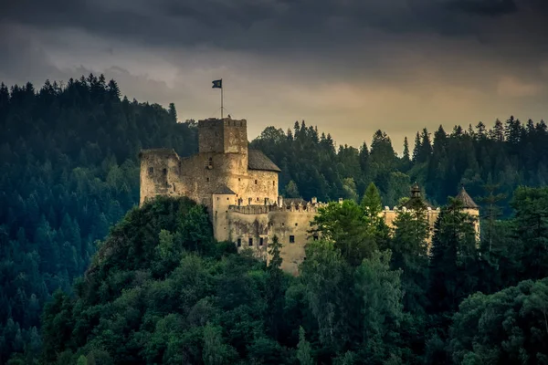 Castelo Medieval Niedzica Sul Polônia Com Lago Czorsztyn Redor — Fotografia de Stock