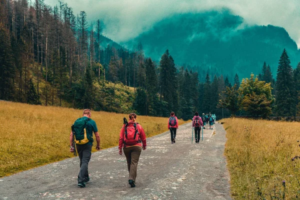 Hikers / tourists with the backpacks walking on the trail leading towards the mountains. Autumn / fall season.