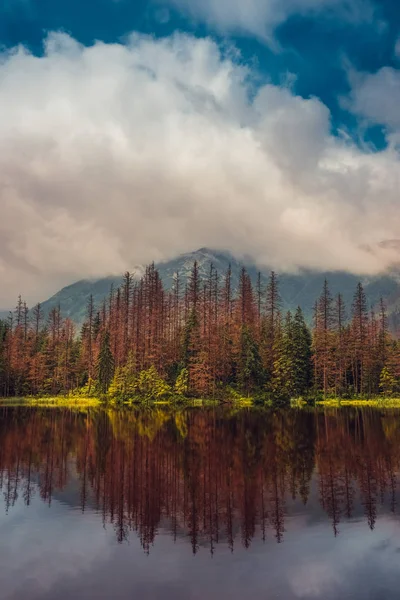 美しい色と秋のシーズン中に山中湖を表示します — ストック写真