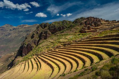 Peru Cusco şehir yakınlarındaki Kutsal Vadisi'nde Pisac İnka arkeolojik alanda Teraslı alanlar. Dik yamaçta tarım terasları. Güzel manzara ve turistik yer.