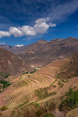 Peru Cusco şehir yakınlarındaki Kutsal Vadisi'nde Pisac İnka arkeolojik alanda Teraslı alanlar. Dik yamaçta tarım terasları. Güzel manzara ve turistik yer.