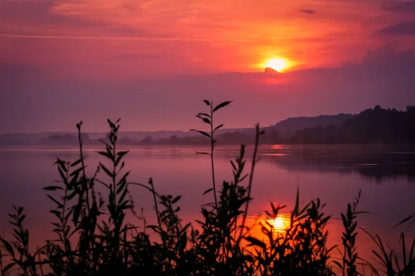 Закатный Пейзаж Реке Яркими Красками Летом — стоковое фото