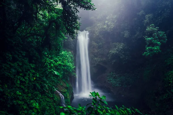 Hermosa Salvaje Cascada Medio Selva Verde Costa Rica Fotos De Stock