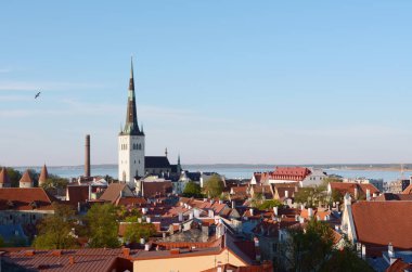 St Olaf's kilise kule Tallinn, Estonya sermaye şehir eski kasaba kırmızı kiremitli çatıları duruyor. Tallinn Bay cityscape yatıyor.