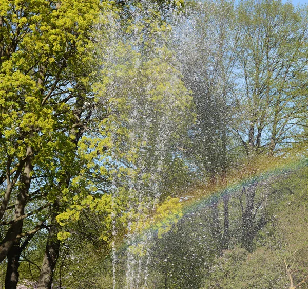 Tallinn Estonya Park Çeşmeden Sprey Gökkuşağı Yakaladı Arka Planda Bir — Stok fotoğraf