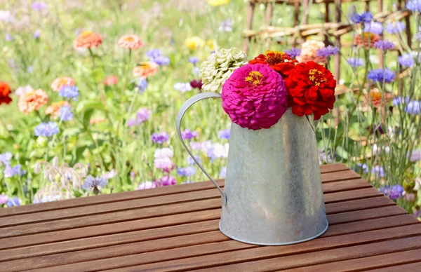 Pink Red Zinnias Arranged Rustic Metal Pitcher Standing Wooden Table — Stock Photo, Image