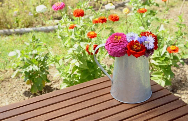 Arrangement Zinnias Cornflowers Metal Jug Wooden Garden Table Bright Flower — Stock Photo, Image