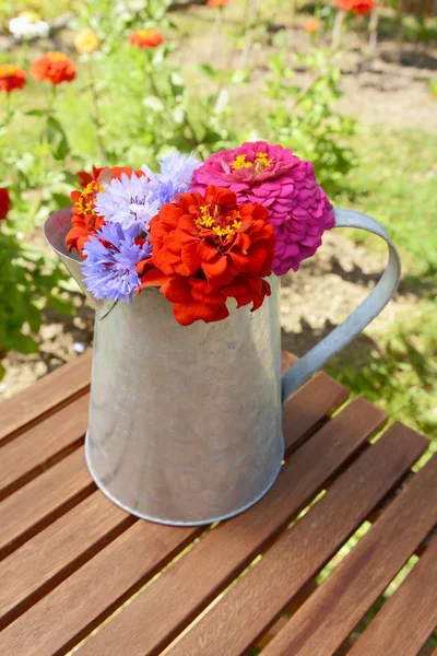 Pitcher Filled Fresh Flowers Cornflowers Red Pink Zinnias Garden Table — Stock Photo, Image