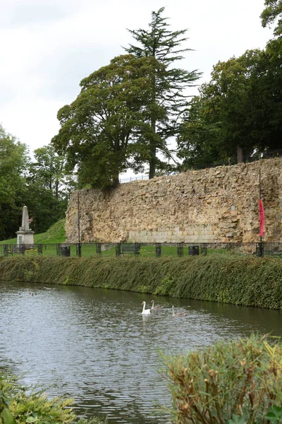 Norman Remains Surrounding Wall Tonbridge Castle Topped Tall Trees Alongside — Stock Photo, Image