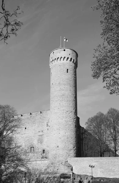 Pikk Hermann Věž Hradu Toompea Starém Městě Talin Estonsko Monochromatické — Stock fotografie