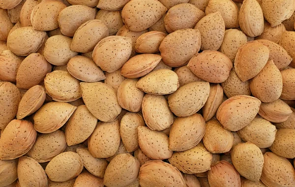 Whole almonds in shells background — Stock Photo, Image