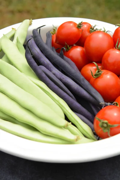 Beans and ripe tomatoes in a white ceramic dish — Stock Photo, Image