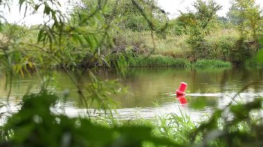 Önplanda Bitkilerle Nehirde Yüzen Kırmızı Şamandıra