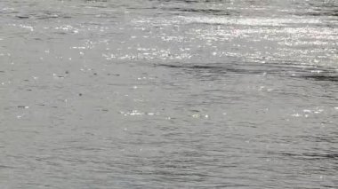 Sunlight reflections on rippling water. Calming nature footage with sparkling light effects and gentle waves, ideal for relaxation backgrounds and meditative visuals.