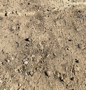 Sandy Dirt Road Texture with Small Stones. Natural sandy dirt surface with visible stones and pebbles. Earthy texture background for design and creative projects.