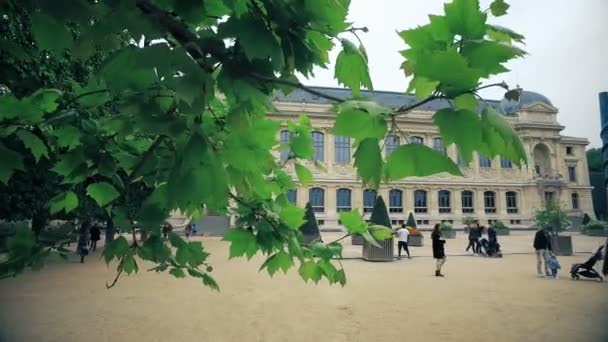 Francja Paryż Circa Maja 2017 Cinematic Steadicam Strzał Paryża Ogrodu — Wideo stockowe