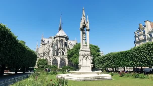 Paris França Agosto 2017 Fonte Vierge Catedral Notre Dame Localizada — Vídeo de Stock