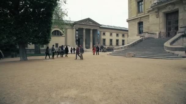 Francia Parigi Circa Maggio 2017 Fotografia Cinematografica Steadicam Parigi Jardin — Video Stock