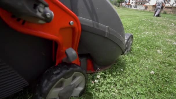 Mowertrimming 芝生庭の芝生を持つ男 — ストック動画