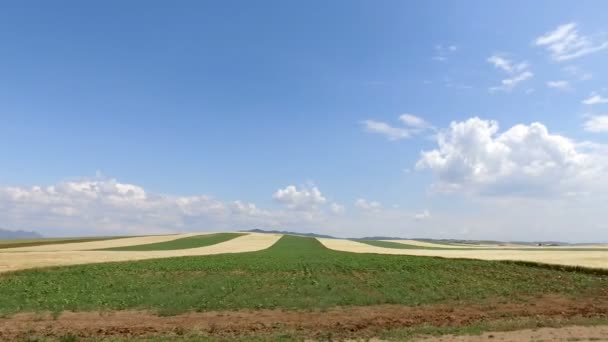 農業収穫産業分野に沿って移動 — ストック動画