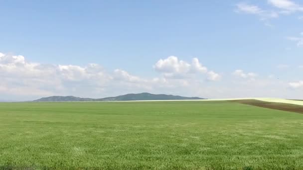 Pohybující Podél Zemědělství Sklizeň Průmyslové Oblasti — Stock video