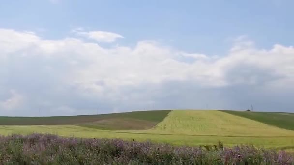 Movendo Longo Agricultura Colheita Campos Industriais — Vídeo de Stock