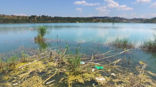 Επιπτώσεις Της Ρύπανσης Του Αστικού Νερού Σκουπίδια Στη Λίμνη — Αρχείο Βίντεο