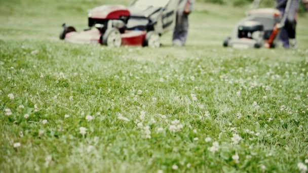 Klippa Gräset Med Gräsklippare Industriell Bakgrund — Stockvideo