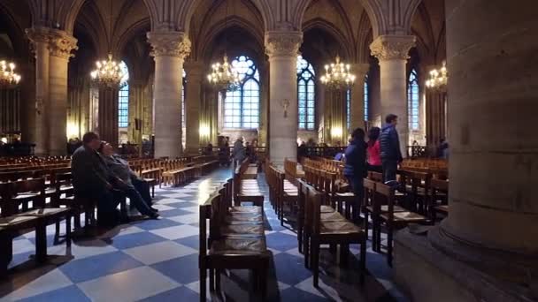 France Paris Circa Juin 2017 Les Touristes Visitent Notre Dame — Video