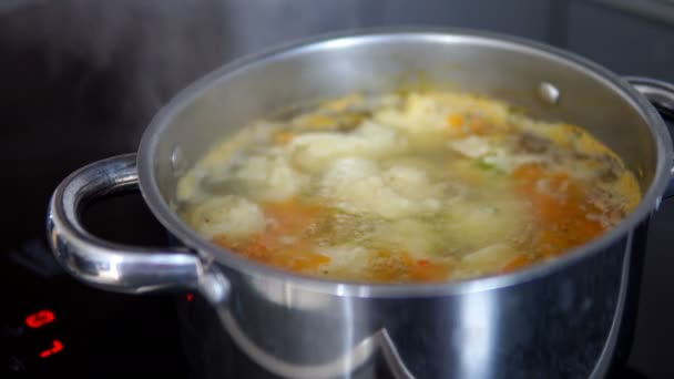 Chicken noodle soup in steel pot over stove in kitchen — Stock Footage Chicken Noodle Soup Steel Pot Stove Kitchen Stock Video