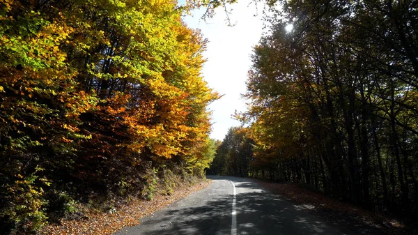 Driving Mountain Winding Road Autumn Season — Stock Photo, Image