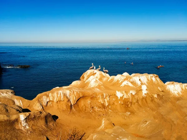 Cliffs Beach Coastline Pelican Birds Sunny San Diego California Pelícanos —  Fotos de Stock