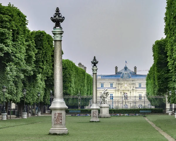 Jardin Luxembourg Párizs Tavasszal Gyönyörű Zöld Színek Alkonyatkor — Stock Fotó